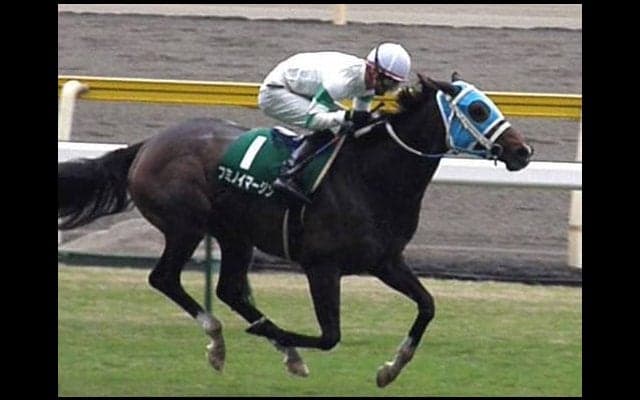 【JRA】地震の影響で1回福島競馬を新潟に変更、福島牝馬Sは新潟外回り1800mに