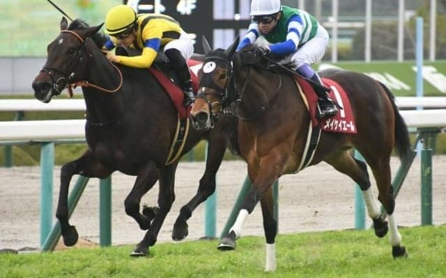 【チューリップ賞結果】メイケイエールとエリザベスタワーの1着同着　武豊騎手は35年連続JRA重賞制覇