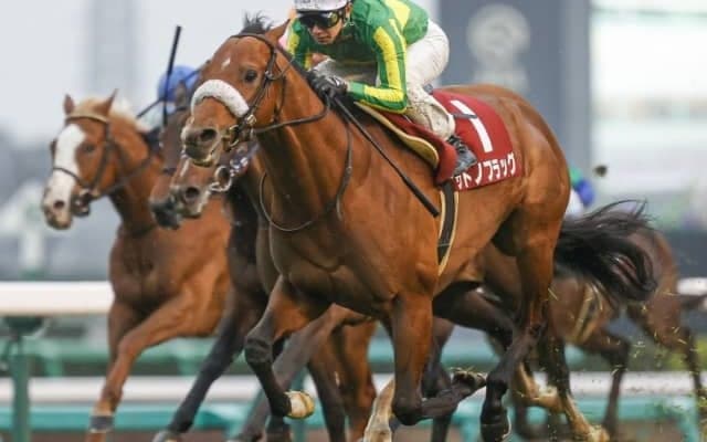 【金鯱賞】サトノフラッグはルメール騎手とのコンビ　昨年の皐月賞以来2度目