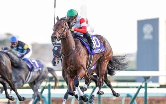 【弥生賞前日オッズ】ダノンザキッドが1.3倍で1番人気