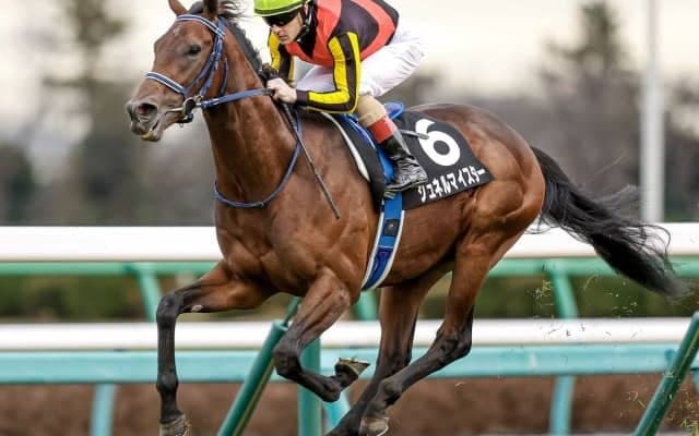 【弥生賞ディープ記念予想】レースセンスの高いシュネルマイスターに期待