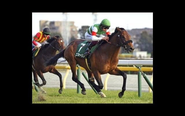 調教師が「いい馬だ」と唸ったエフフォーリア。横山武史騎手もベタ惚れ