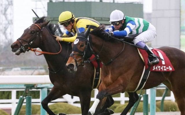 【チューリップ賞】まさかの同着！メイケイエールとエリザベスタワーが勝利