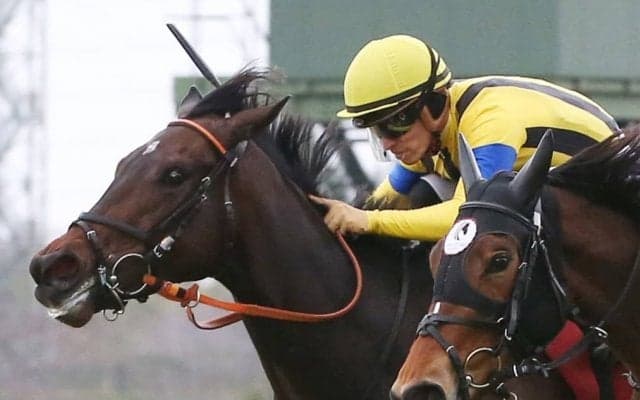【チューリップ賞】川田「コントロールが難しい」メイケイ、エリザベスの同着V