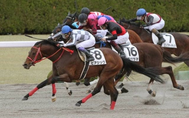 【阪神12R】武豊 ピアシックが豪快な差し切りで3勝目