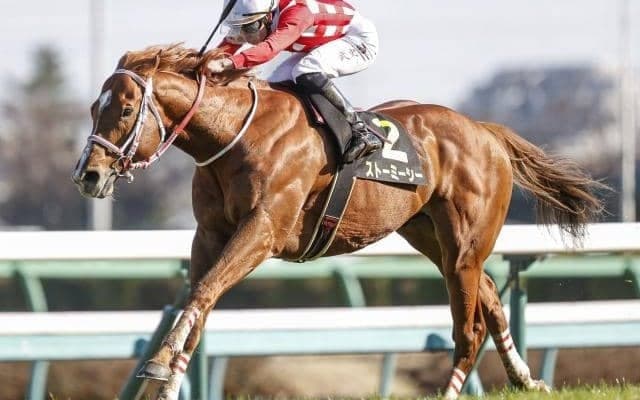 【JRA】8歳馬ストーミーシーが屈腱炎により引退、種牡馬入り　2020年東風Sなどリステッド2勝
