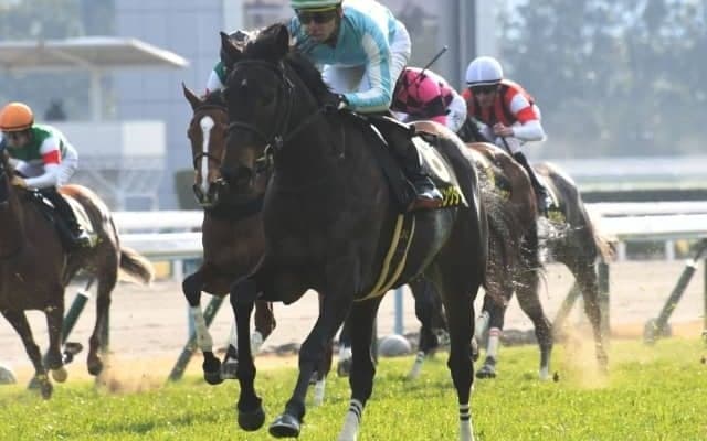 【金鯱賞予想オッズ】三冠牝馬デアリングタクトに断然の支持