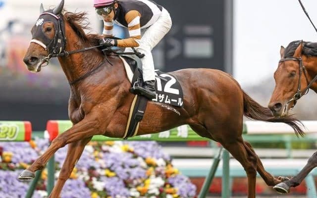 【中山牝馬S展望】一筋縄ではいかないハンデ重賞、あの穴馬に期待したい