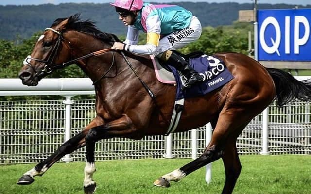 【海外競馬】フランケルとノーブルミッションの母カインドが死亡、20歳