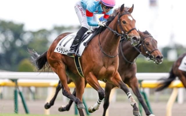 【フィリーズレビュー出走馬決定順】フルゲート18頭に27頭　9頭はアネモネSにも登録