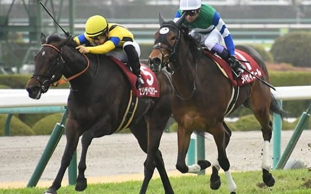 【チューリップ賞回顧】2頭の同着優勝　今年は難解の牝馬クラシック路線/栗山求コラム