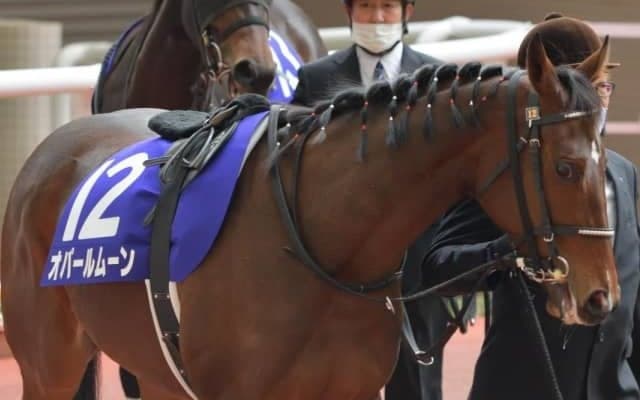 【フィリーズレビュー予想オッズ】オパールムーン・ヨカヨカらが人気の中心