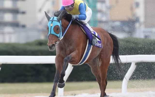 【名古屋・中京ペガスターC結果】ブンブンマルが圧倒的人気に応えて重賞3連勝！