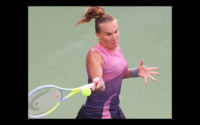  スイトリナに逆転勝ちで16強 