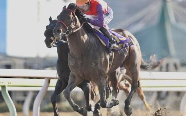 【大井・フジノウェーブ記念結果】キャプテンキングが復活の重賞V