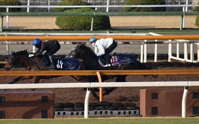 クロノジェネシス、ドバイシーマC2週前追い切り速報/栗東トレセンニュース
