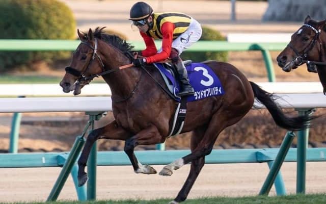 【次走】ランドオブリバティのスプリングSは引き続き三浦皇成騎手とのコンビに