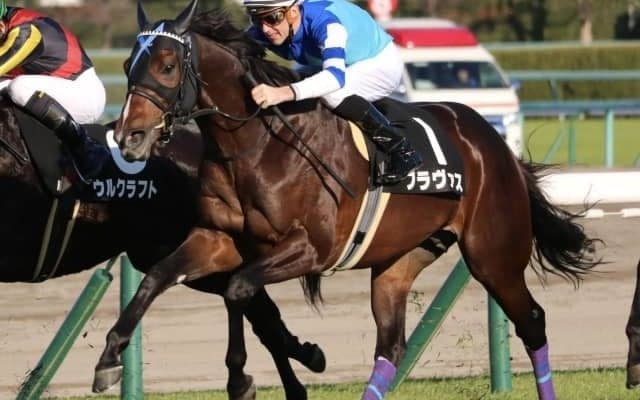 【金鯱賞展望】大阪杯のステップレース、注目はあの馬