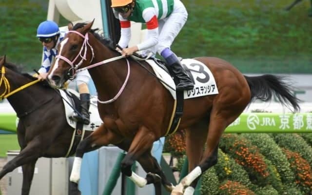 武豊騎手とのコンビでレシステンシアは高松宮記念へ