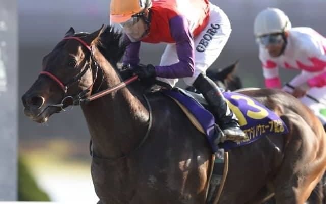 【フジノウェーブ記念】復活Vのキャプテンキングに和田譲治騎手「気合いが乗っていました」