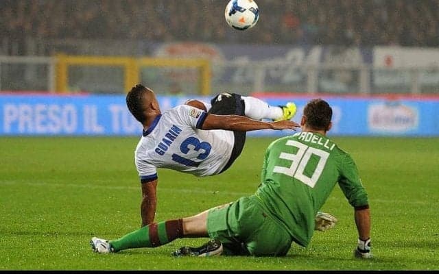 パーフェクトオーバーヘッド！グアリンのアクロバティックゴール/2013-14【スーパーゴール図鑑/インテル編】