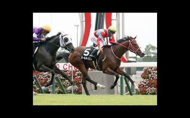 「穴党のための」フィリーズレビュー。狙うべきは人気の盲点となる４頭