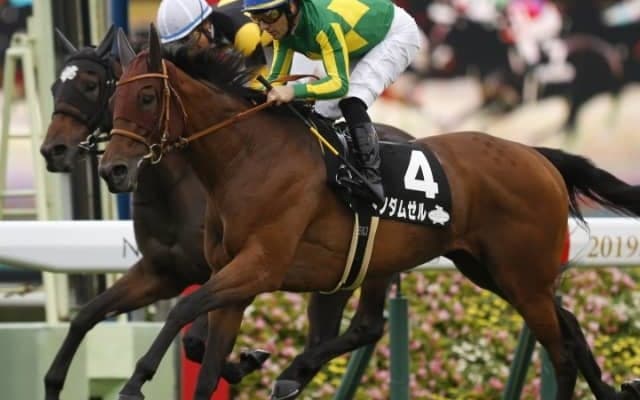 【中山牝馬S予想】得意舞台のサトノダムゼル、重賞初制覇に期待