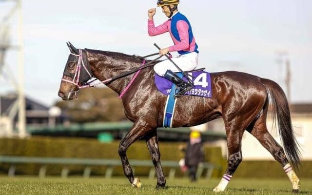 【本日の注目ポイント】中山で中山牝馬S、阪神で阪神スプリングJ