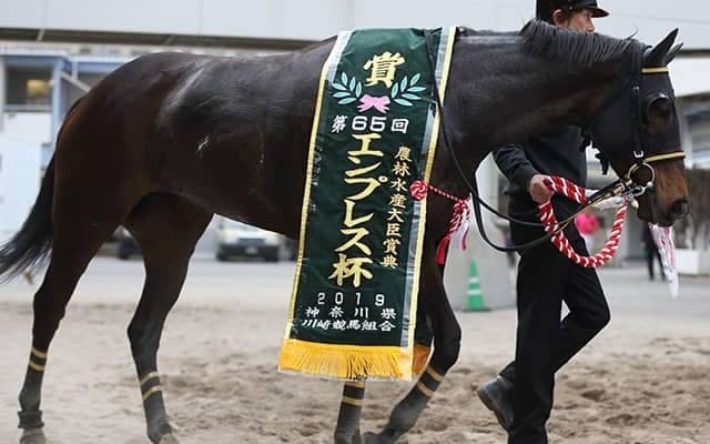 【JRA】プリンシアコメータが引退、繁殖入り　レディスプレリュードなど重賞4勝