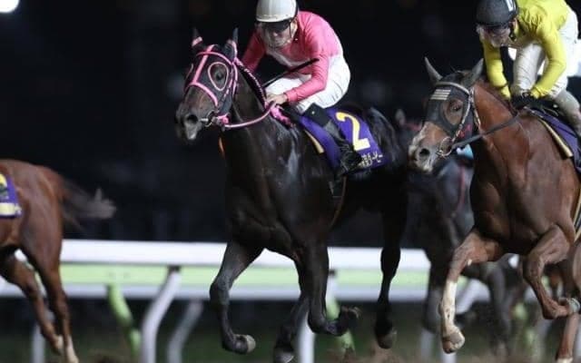 東京ダービー、帝王賞などで増額　令和3年度の南関東重賞の賞金等が決定