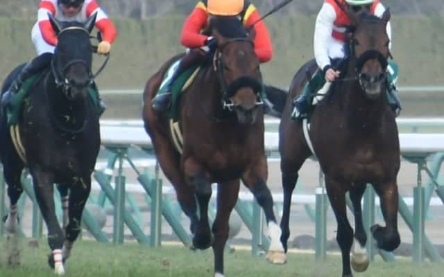 【スプリングS出走馬決定順】フルゲート16頭に17頭の登録　ビゾンテノブファロが除外対象に