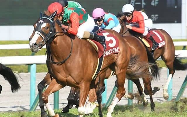 【フィリーズレビュー回顧】シゲルピンクルビー　大物感の気配がする注目のモーリス産駒/栗山求コラム