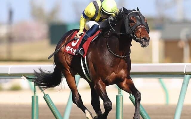 【金鯱賞回顧】ギベオン　母コンテスティッドの能力を存分に発揮した勝利/栗山求コラム