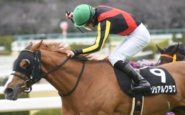 【先週のJRA抹消馬】ブエナビスタの仔ソシアルクラブ、1200m戦から3600m戦まで出走したレイホーロマンスなど