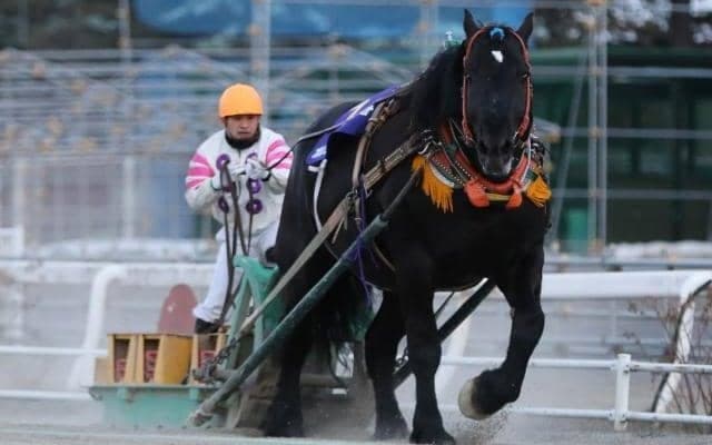 ばんえい記念で引退するオレノココロなど3頭の引退セレモニー実施