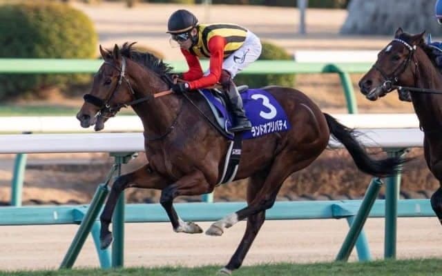 【スプリングS見どころ】ランドオブリバティの巻き返しなるか