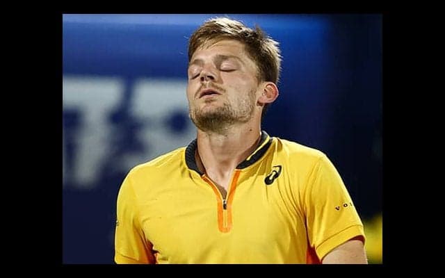  「錦織は速い選手」とゴファン 