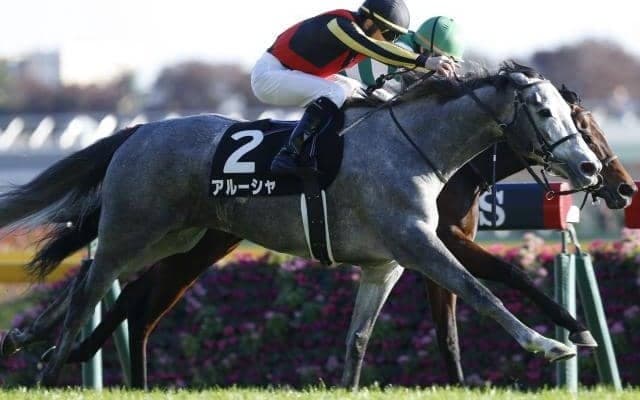 【JRA】リステッド競走2勝のアルーシャが引退、繁殖入りへ