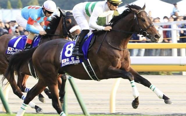 【次走】キセキは香港G1クイーンエリザベス2世Cへ