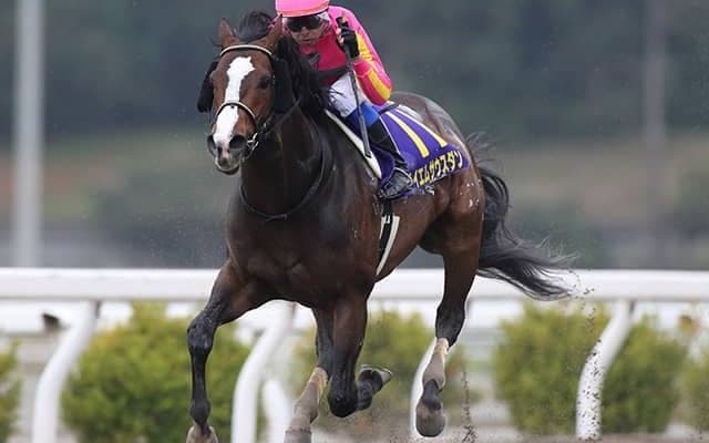 【地方競馬】高知競馬で16億円超の1日売上レコード、従来のレコードを2億円以上更新