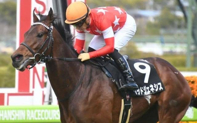 【次走】ゆきやなぎ賞を制したレッドジェネシスは京都新聞杯へ