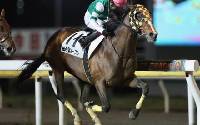 【柏の葉OP】大外枠の9歳アドマイヤゴッドが最内から抜け出して好メンバーの一戦制す！