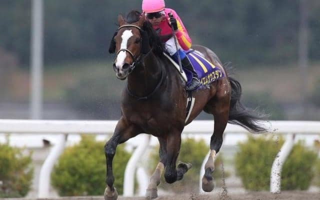 【高知・黒船賞結果】テイエムサウスダンが8馬身差の圧勝！