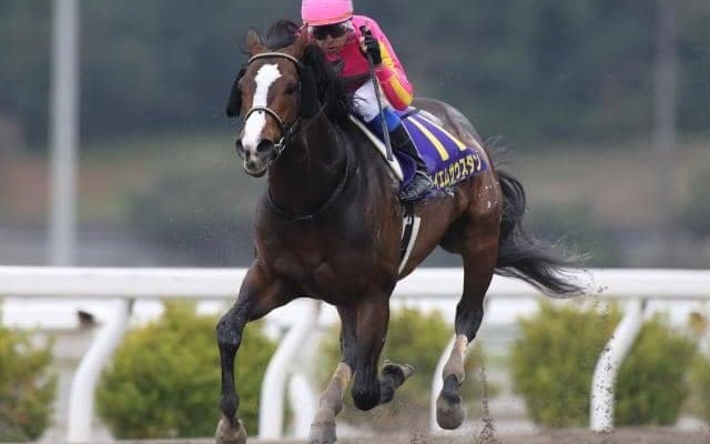 【黒船賞回顧】小回りで能力を発揮したテイエムサウスダン(斎藤修)