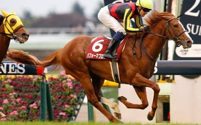 【JRA】パフォーマプロミスが引退、乗馬に　18年日経新春杯など重賞3勝