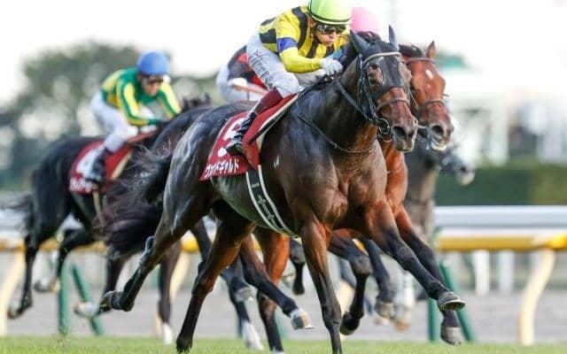 【ドバイターフ】ヴァンドギャルドの鞍上がC.デムーロ騎手からM.バルザローナ騎手に