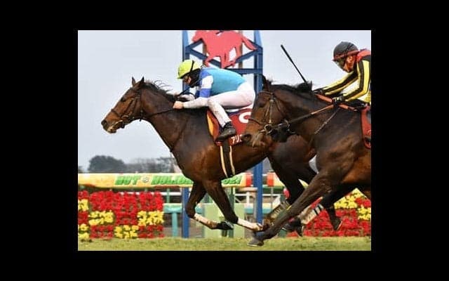 芝3000ｍの阪神大賞典は血統で見る。中長距離の実績から２頭が浮上