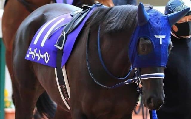 【フラワーC予想】世代上位の能力、ユーバーレーベンに期待