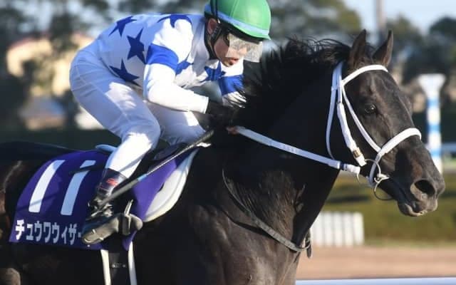 【ドバイワールドC出走予定馬】日本のチュウワウィザード、アメリカのミスティックガイドなど