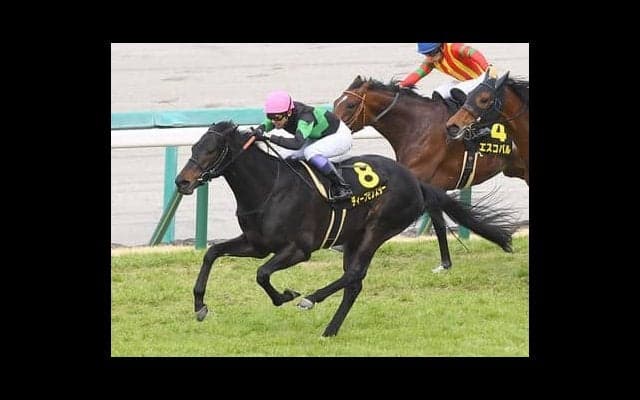 「欠点がなく、総合力が高い」ディープモンスターは大舞台で躍動するか